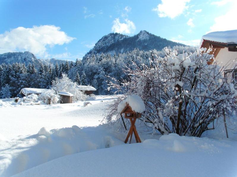 Ferienwohnungen Lackner - Chiemgau Karte インツェル エクステリア 写真